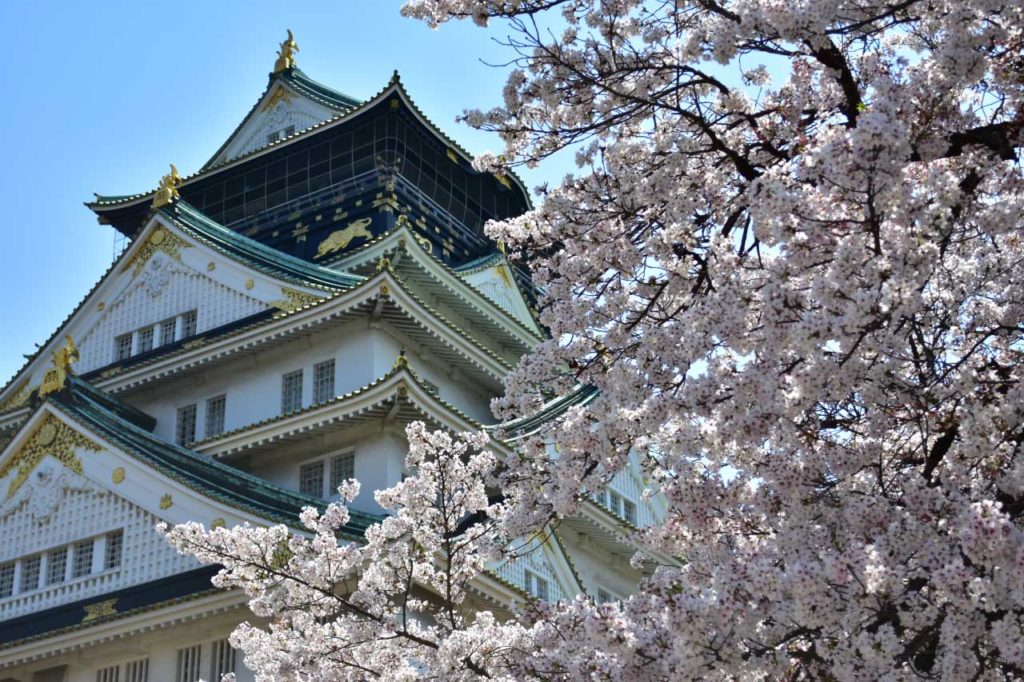 大阪城公園のおすすめ桜スポット